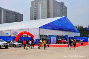 liri 50m width auto show tent (9)