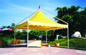 Getting an Event Tent of Appealing Looks and Color