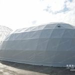 Cashew Shaped Geodesic Dome Tent tent