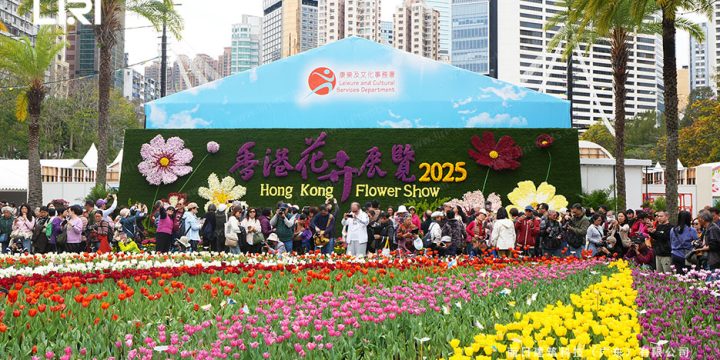 White PVC Event Tent for Flower Exhibition