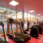 Gym Tent tent